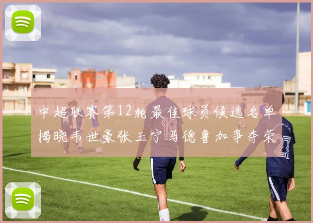 中超联赛第12轮最佳球员候选名单揭晓韦世豪张玉宁马德鲁加争夺荣誉