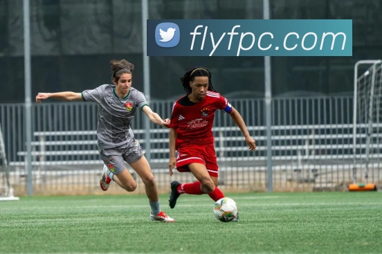 奖项证书